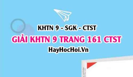Giải KHTN 9 trang 161 Chân trời sáng tạo SGK